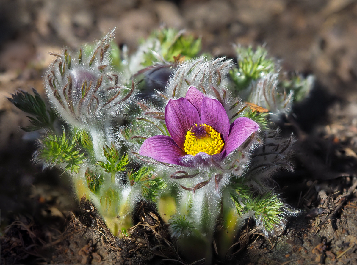 Nazwa:  P4080011.jpg
Wyświetleń: 239
Rozmiar:  983,8 KB