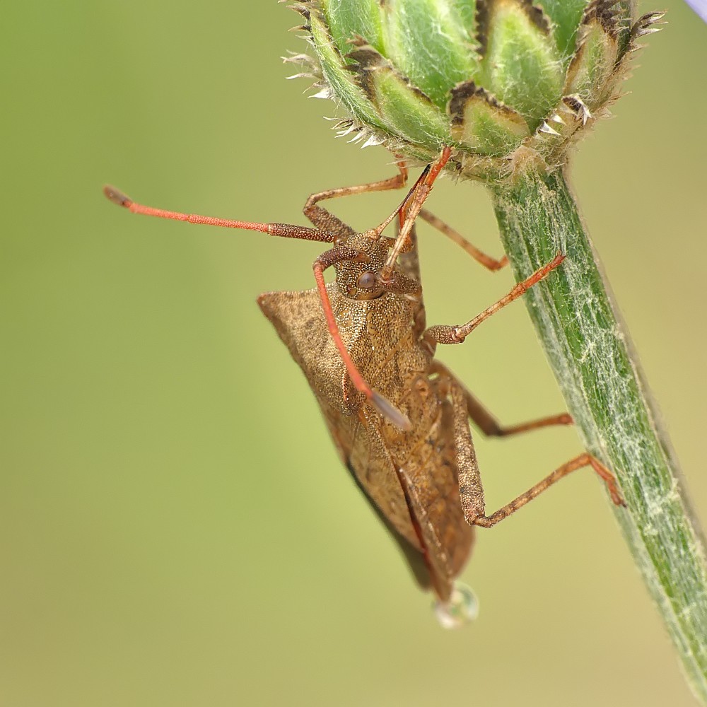 Nazwa:  wtyk169358cf.jpg
Wyświetleń: 247
Rozmiar:  159,0 KB