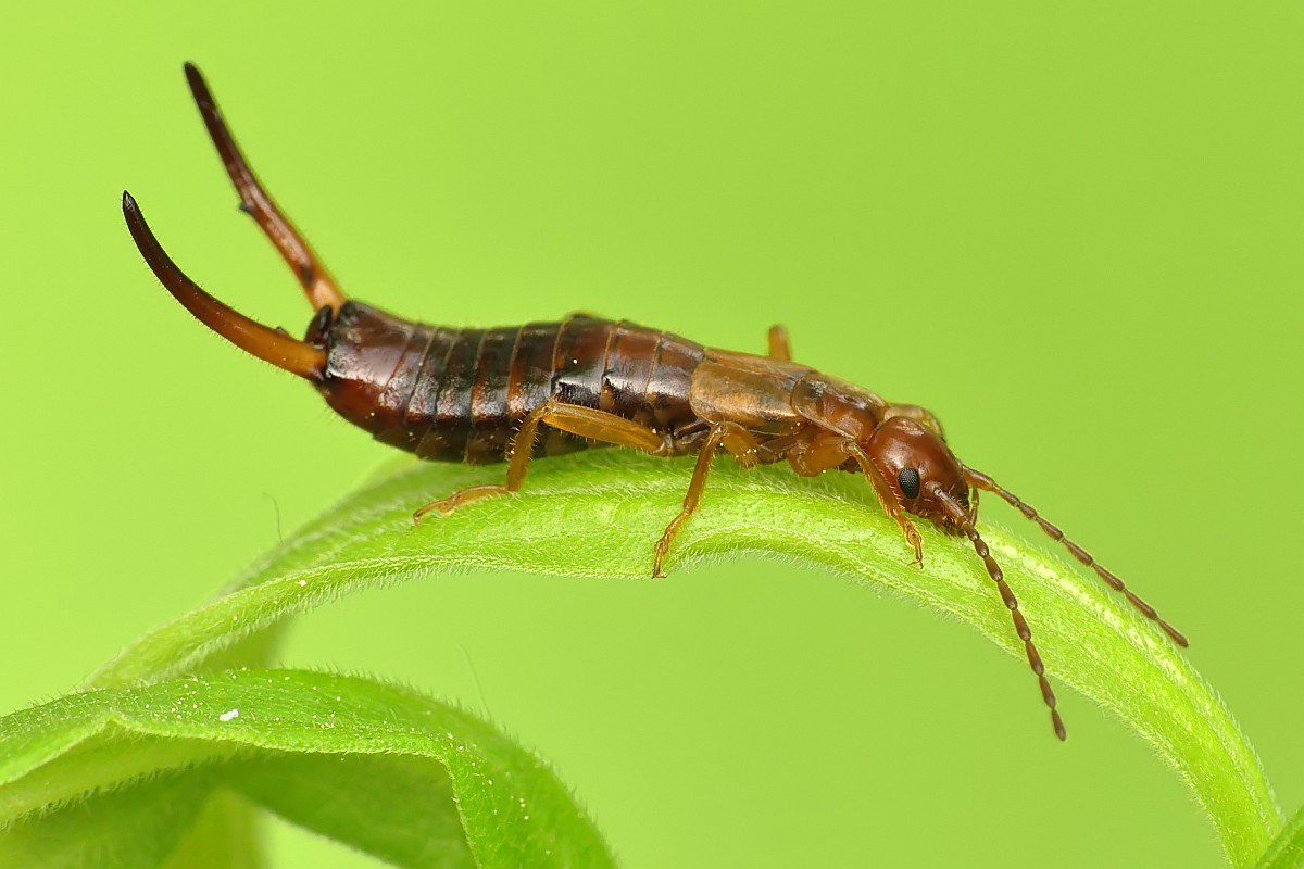 Nazwa:  49352328563_7d8db63faf_o.jpg
Wyświetleń: 179
Rozmiar:  129,0 KB