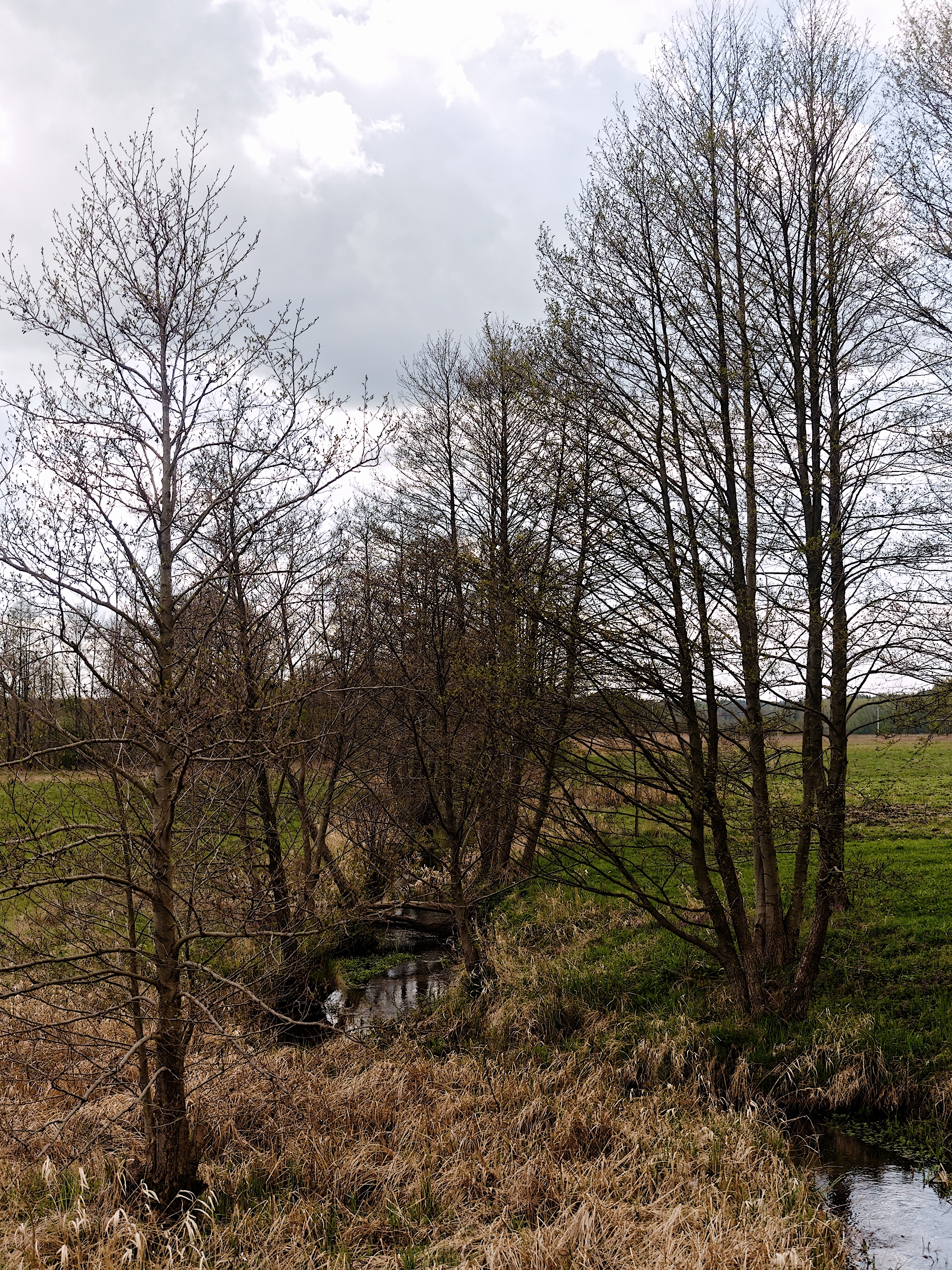 Nazwa:  rzeczka.jpg
Wyświetleń: 204
Rozmiar:  5,71 MB