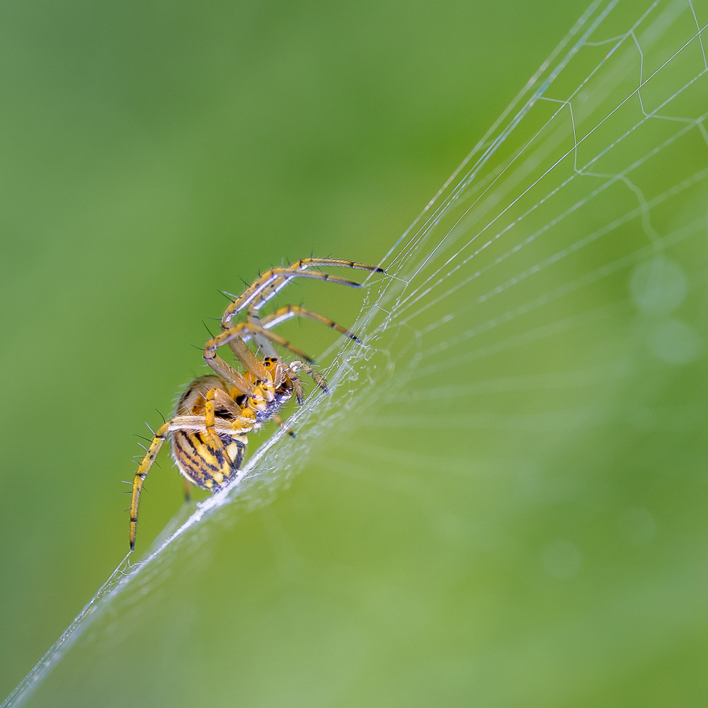 Nazwa:  P5030005.jpg
Wyświetleń: 130
Rozmiar:  520,5 KB