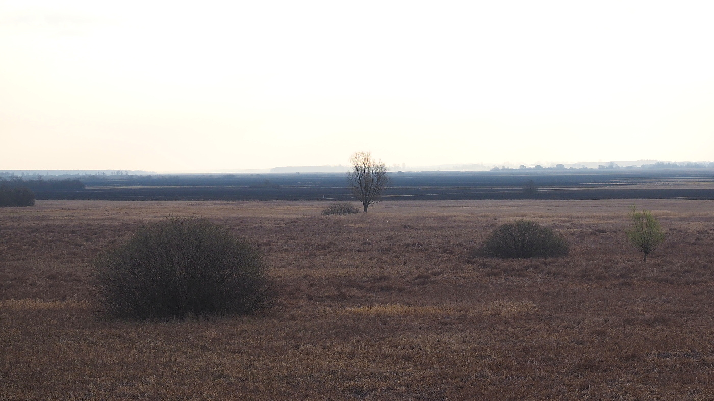 Nazwa:  P4250054_1.jpg
Wyświetleń: 202
Rozmiar:  453,8 KB