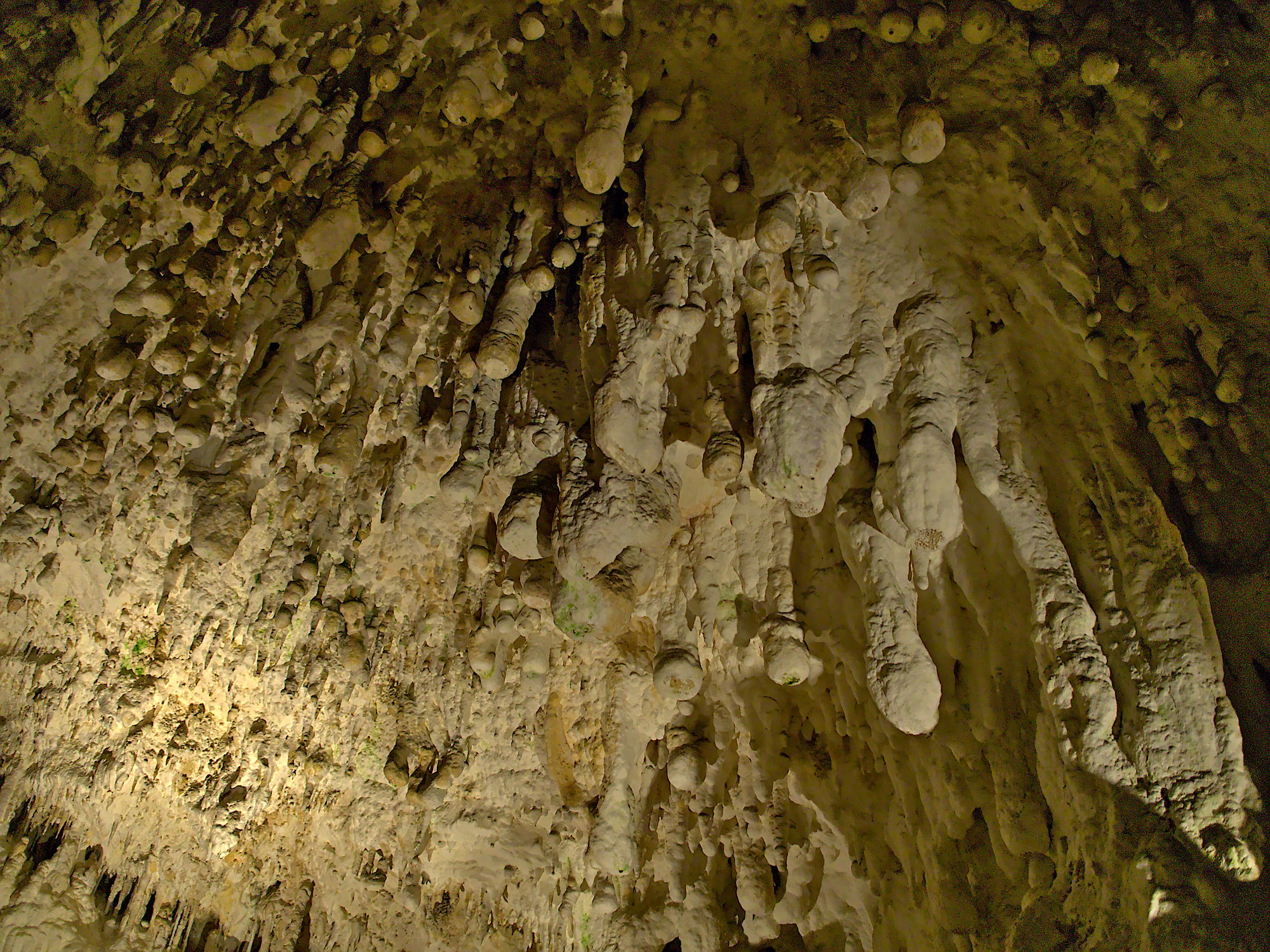 Nazwa:  P9121206.jpg
Wyświetleń: 188
Rozmiar:  1.021,6 KB