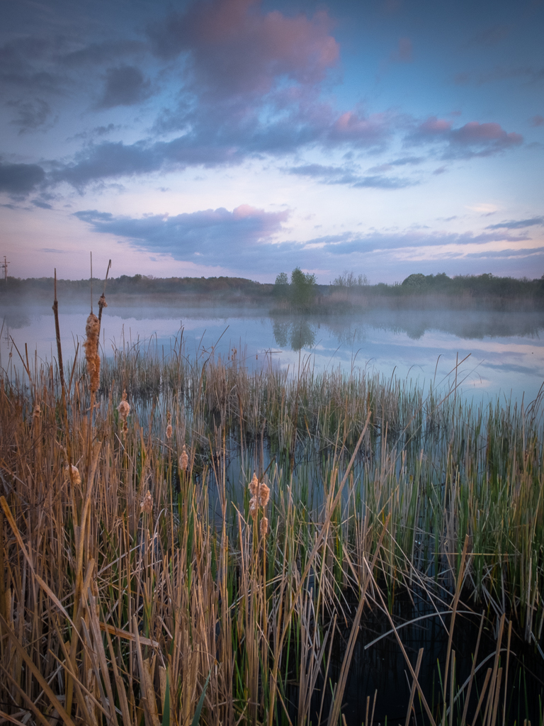 Nazwa:  DSCF2915-2.jpg
Wyświetleń: 106
Rozmiar:  640,2 KB