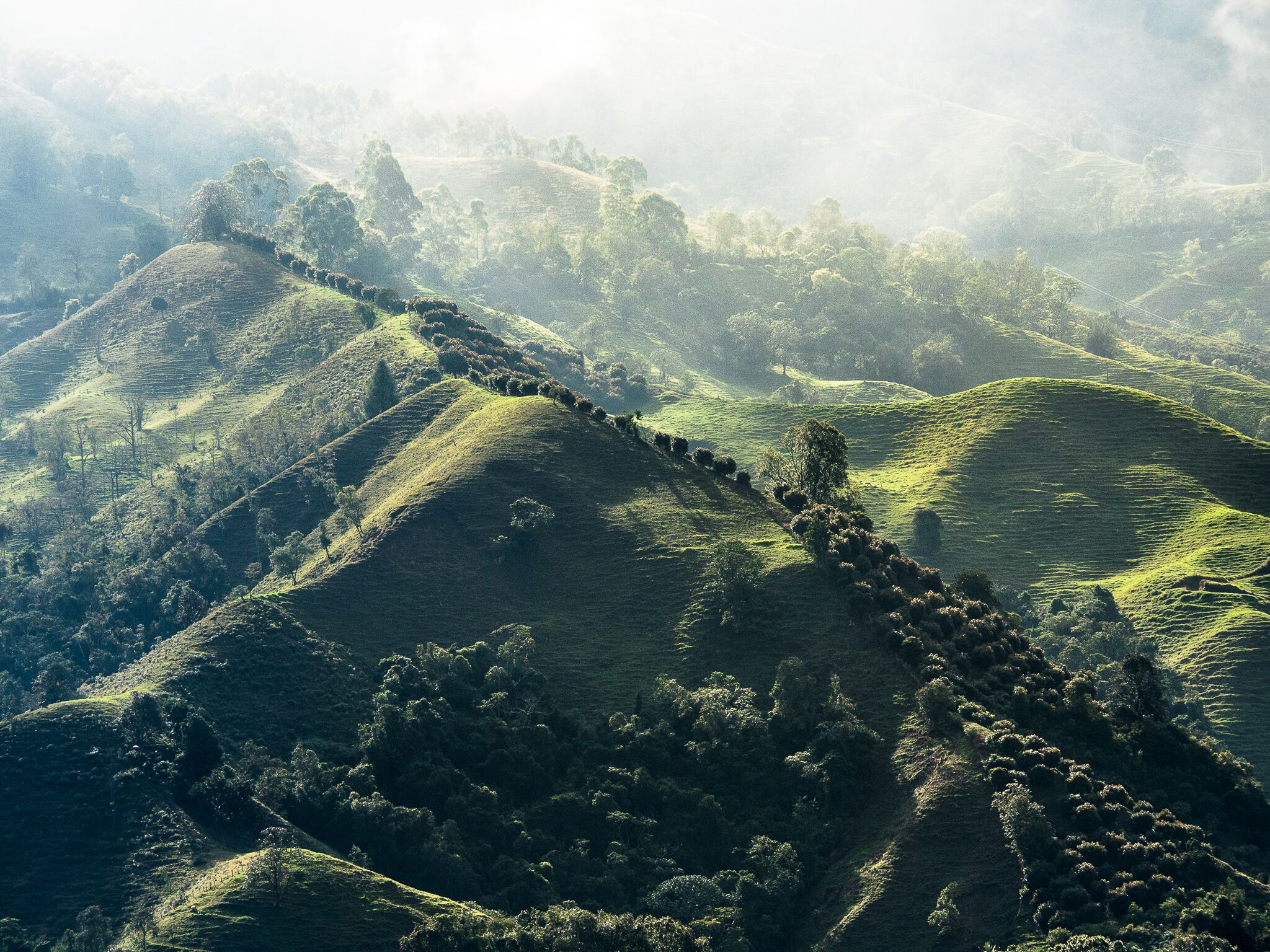 Nazwa:  6.jpeg
Wyświetleń: 115
Rozmiar:  757,3 KB