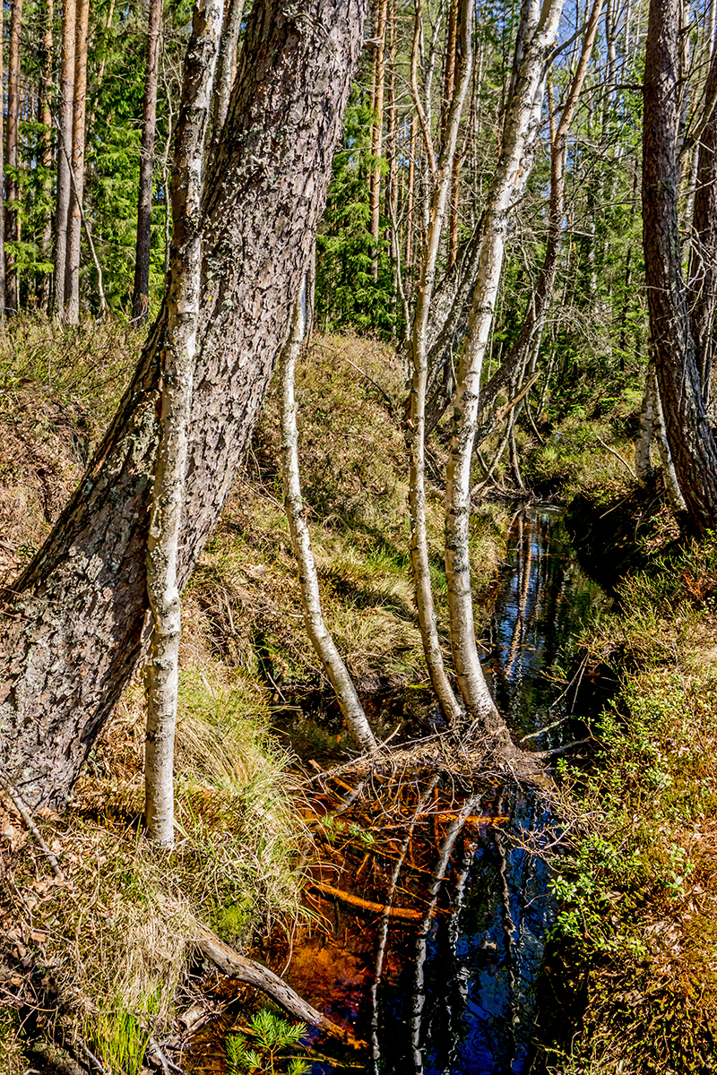 Nazwa:  DSC01027-1.jpg
Wyświetleń: 202
Rozmiar:  1,72 MB