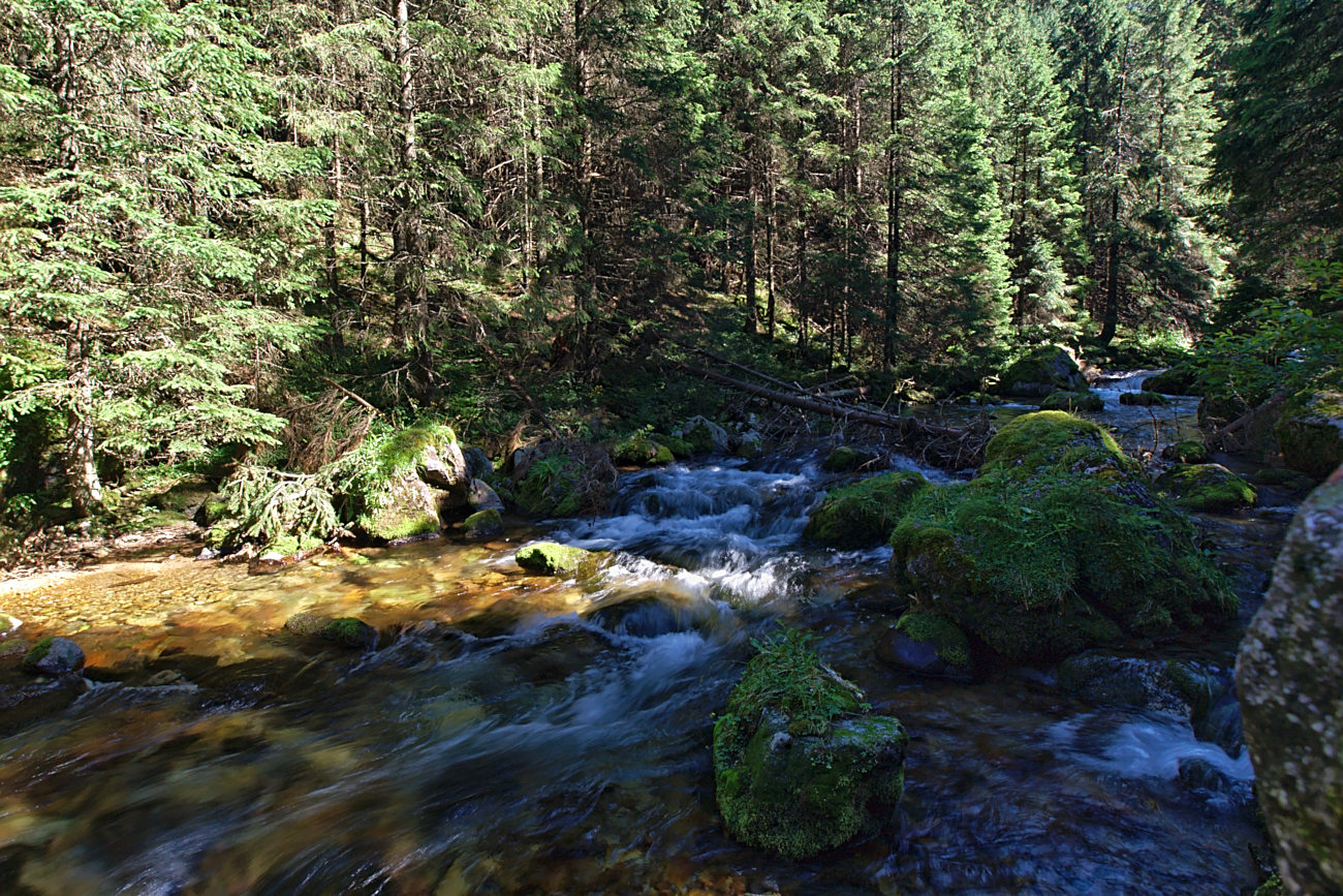 Nazwa:  p8210201bp.jpg
Wyświetleń: 273
Rozmiar:  483,3 KB