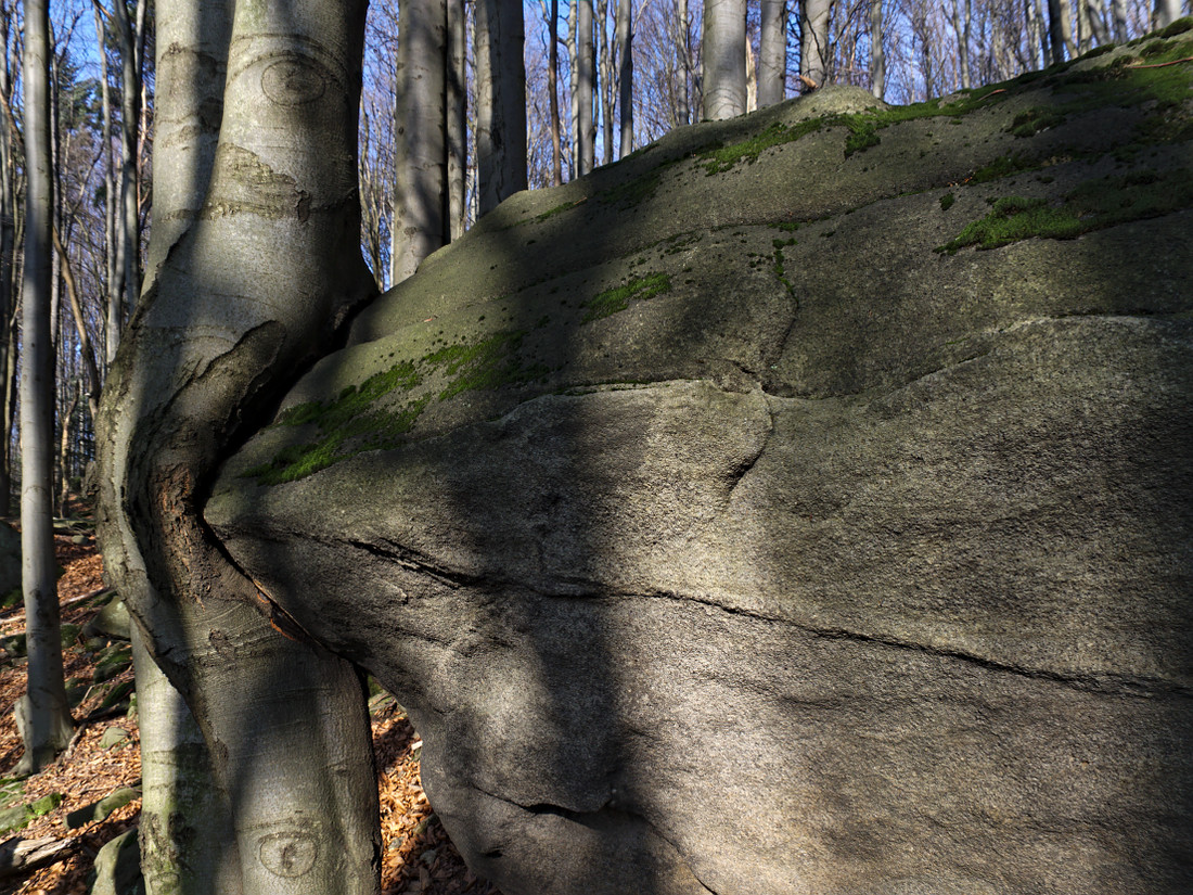 Nazwa:  PB150218ol.jpg
Wyświetleń: 189
Rozmiar:  416,3 KB