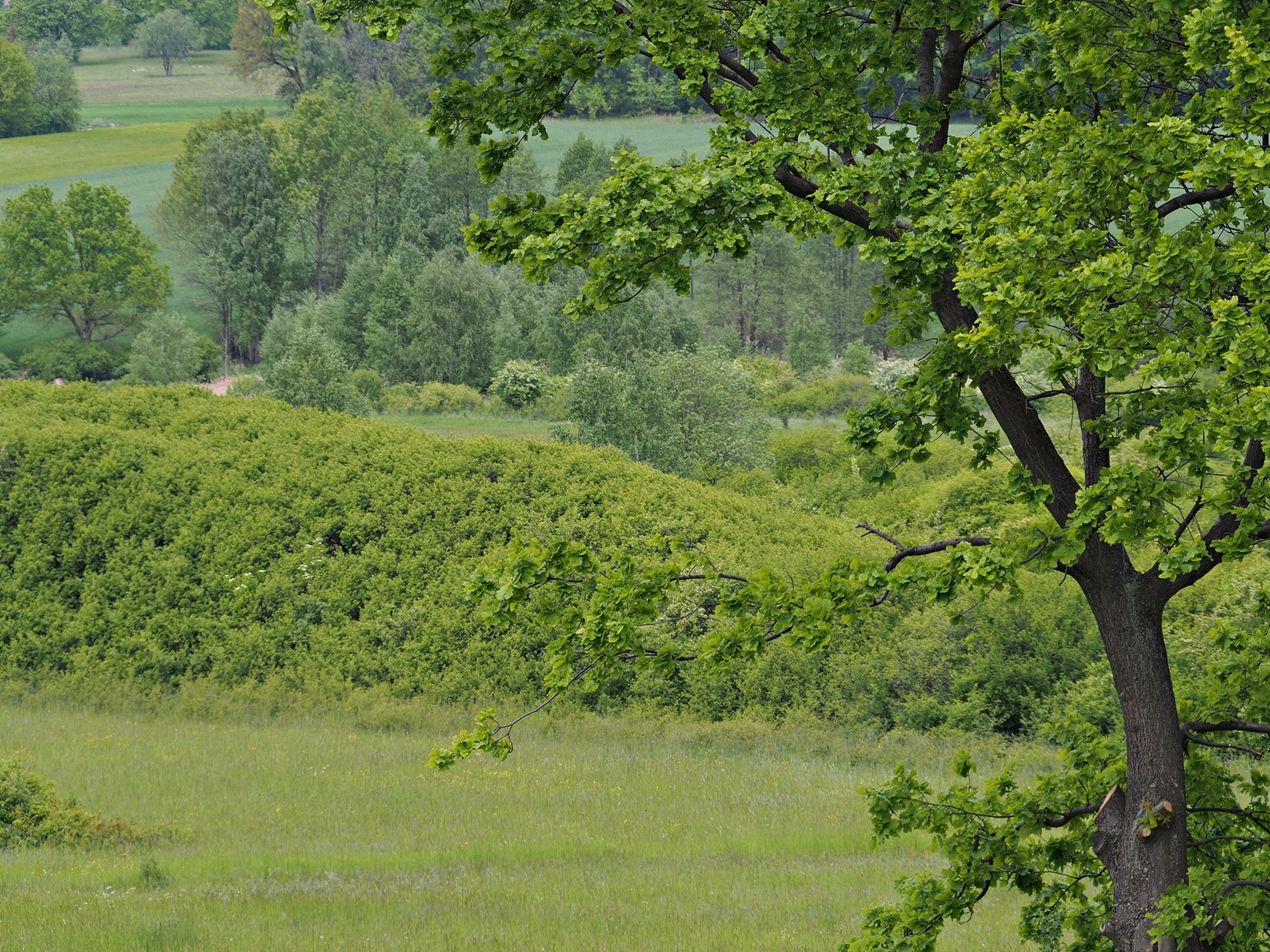 Nazwa:  006.JPG
Wyświetleń: 208
Rozmiar:  828,2 KB