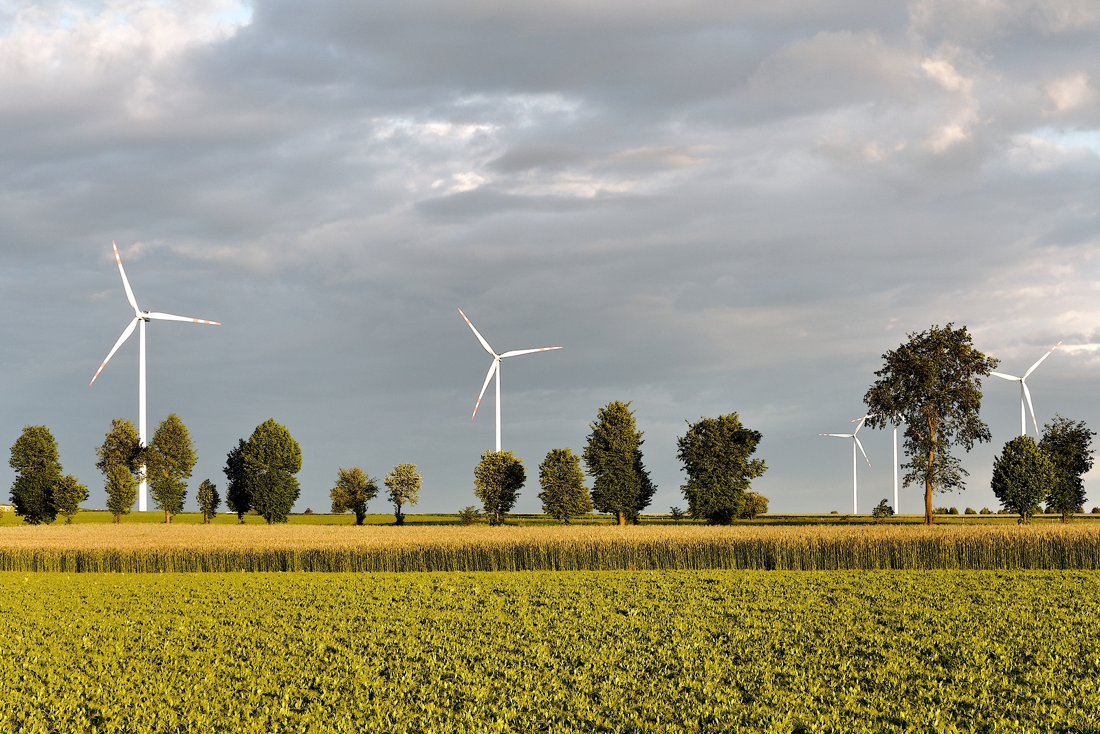 Nazwa:  P5290124dxo_hf2.jpg
Wyświetleń: 240
Rozmiar:  1,63 MB