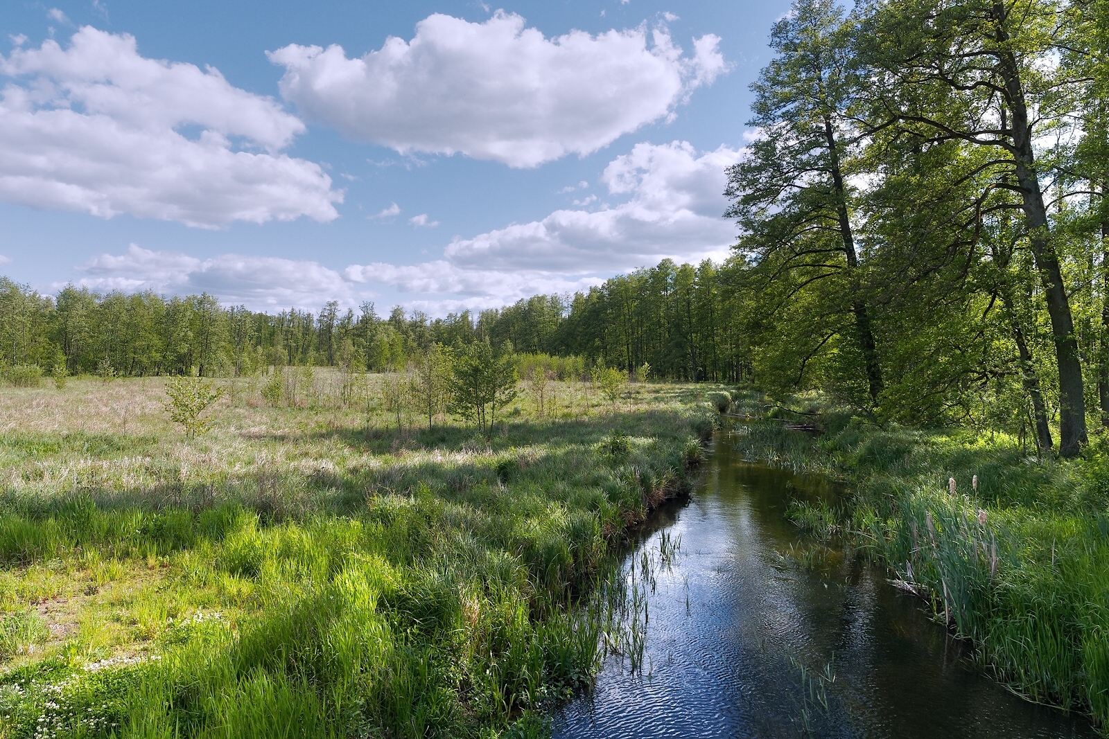Nazwa:  krajobraz 1.jpg
Wyświetleń: 148
Rozmiar:  1,88 MB
