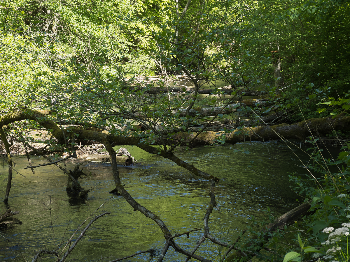 Nazwa:  P5310043.jpg
Wyświetleń: 158
Rozmiar:  1,49 MB