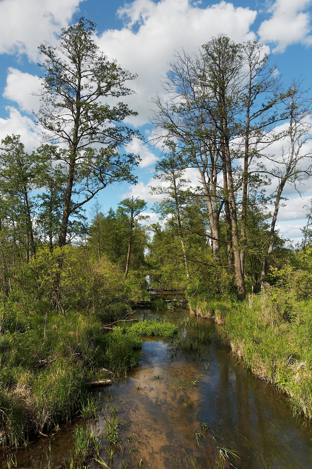 Nazwa:  krajobraz2.jpg
Wyświetleń: 215
Rozmiar:  2,18 MB
