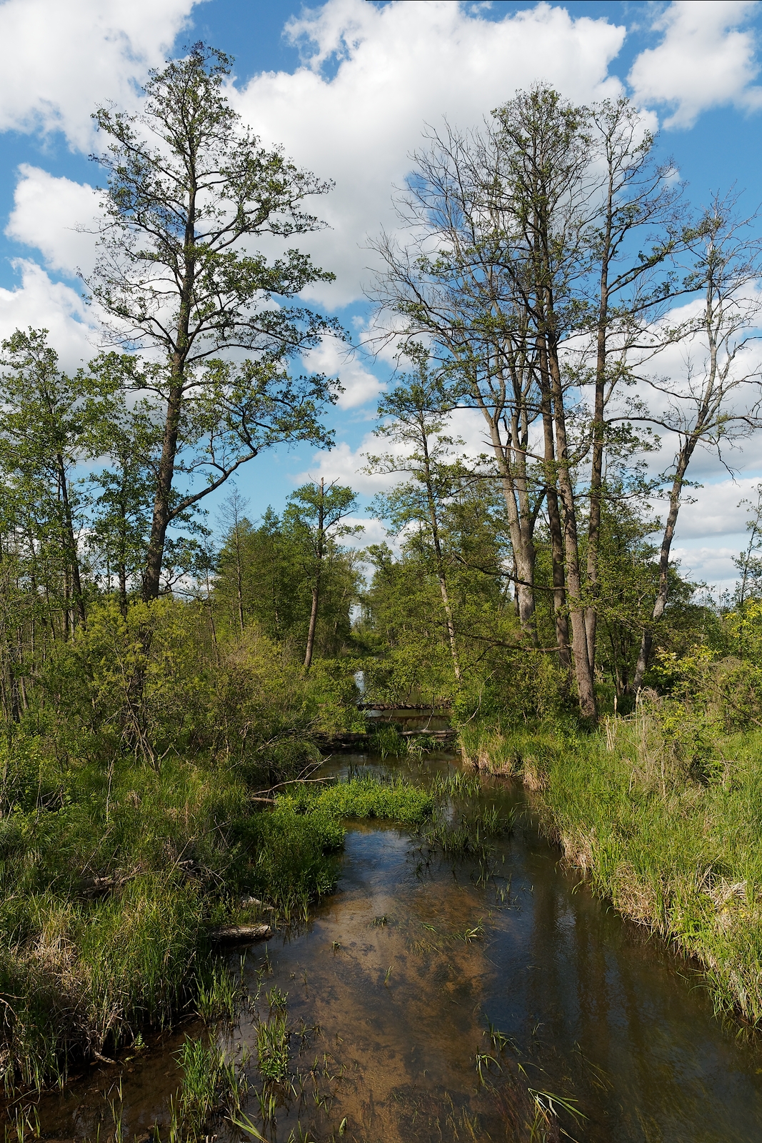 Nazwa:  krajobraz2.jpg
Wyświetleń: 200
Rozmiar:  2,06 MB