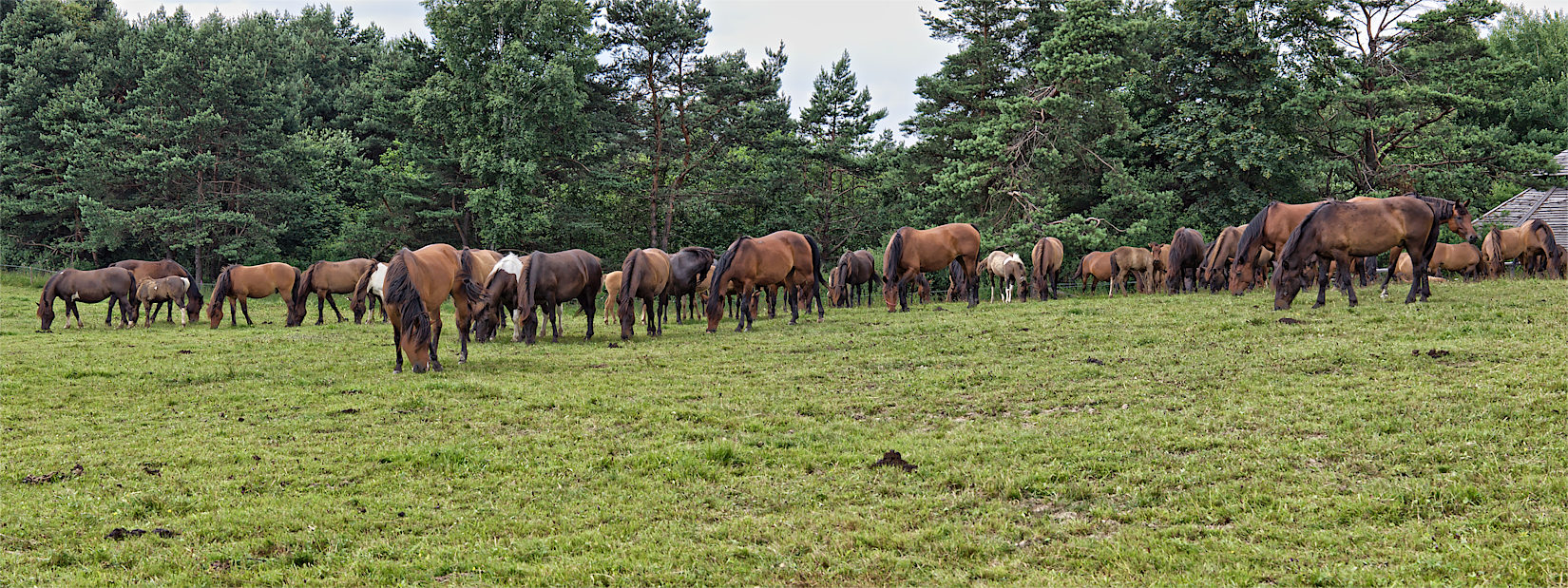 Nazwa:  P7074173-76.jpg
Wyświetleń: 123
Rozmiar:  531,1 KB