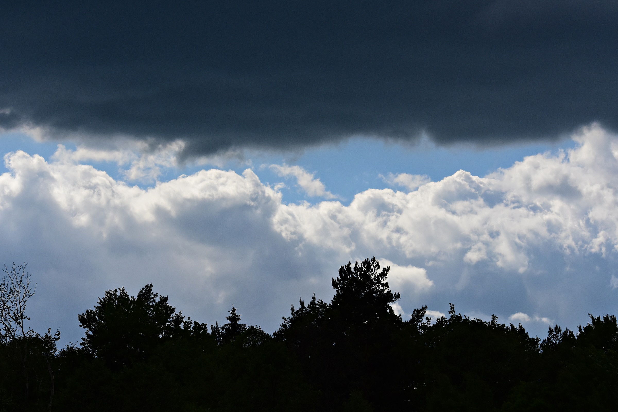 Nazwa:  035.JPG
Wyświetleń: 176
Rozmiar:  909,3 KB