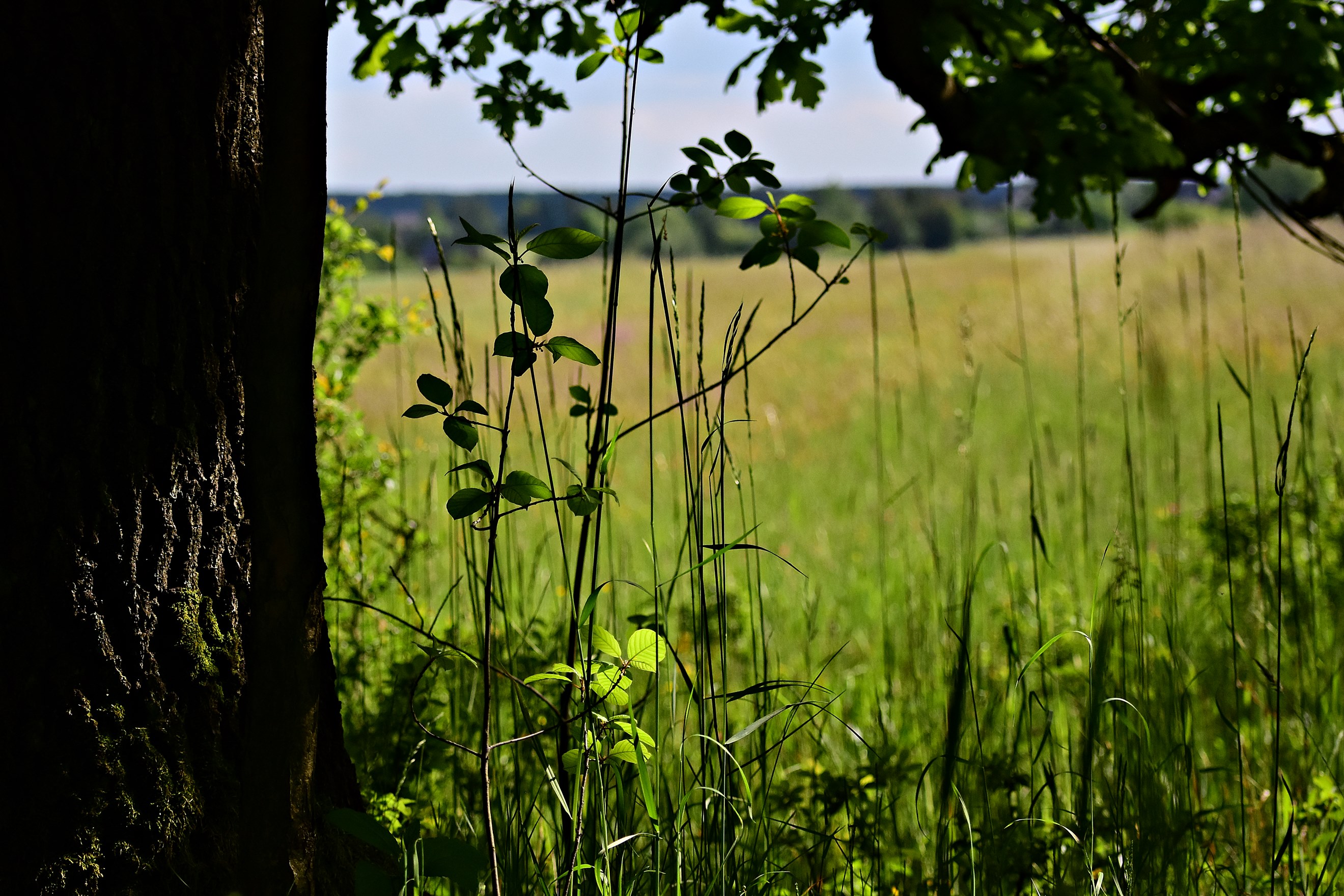 Nazwa:  048.JPG
Wyświetleń: 166
Rozmiar:  908,3 KB