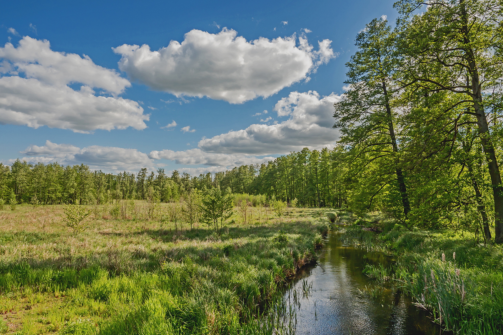 Nazwa:  P5290114-4.jpg
Wyświetleń: 145
Rozmiar:  1,53 MB