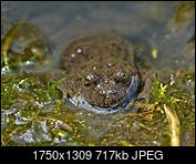 Kliknij obrazek, aby uzyskać większą wersję

Nazwa:	P7241389.jpg
Wyświetleń:	52
Rozmiar:	717,2 KB
ID:	223248