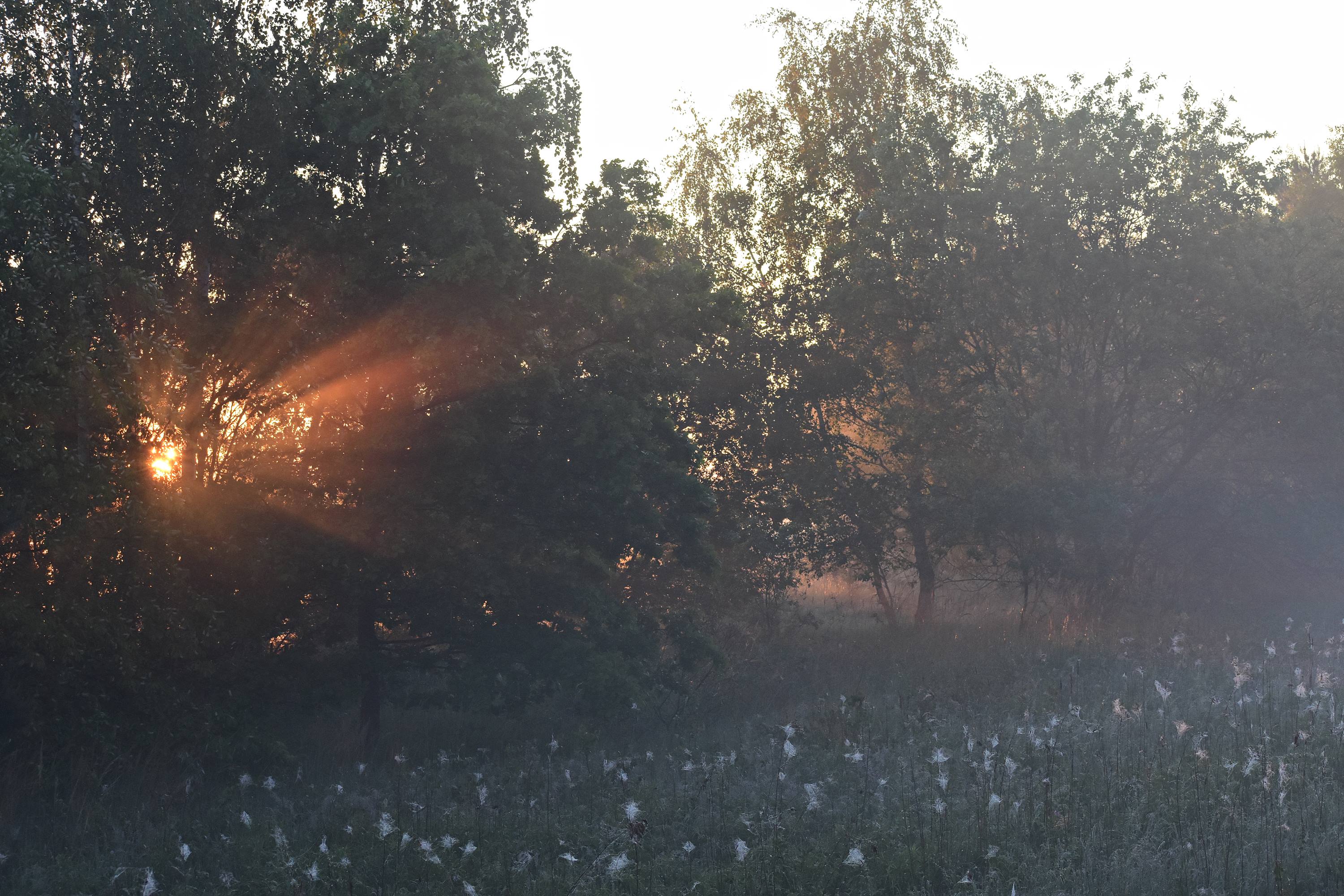 Nazwa:  014.JPG
Wyświetleń: 136
Rozmiar:  899,3 KB