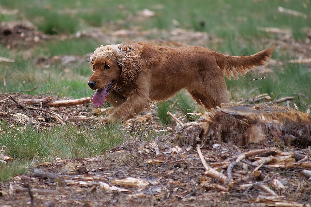 Nazwa:  figa21084df.jpg
Wyświetleń: 171
Rozmiar:  302,3 KB