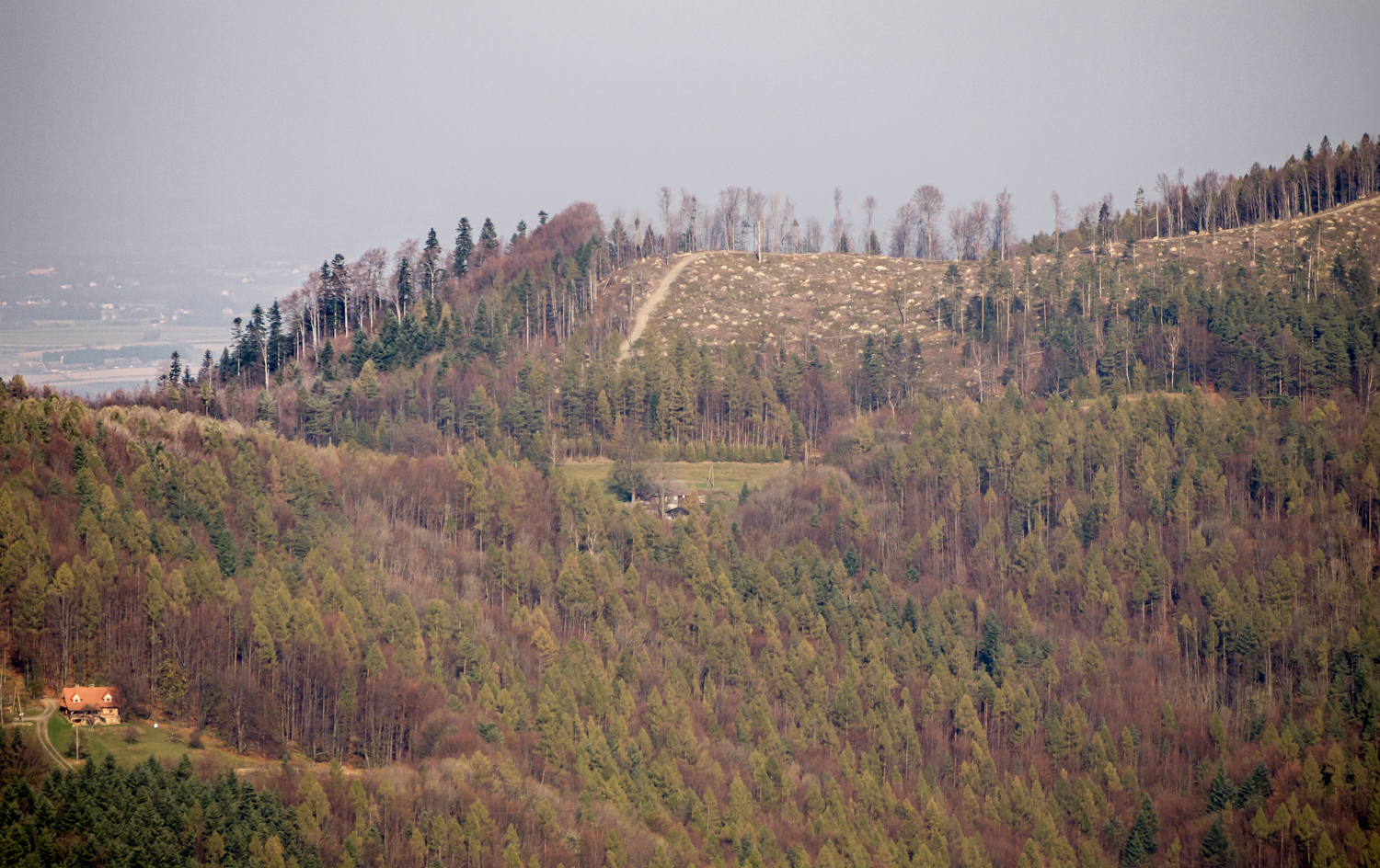 Nazwa:  08.jpg
Wyświetleń: 279
Rozmiar:  1,23 MB