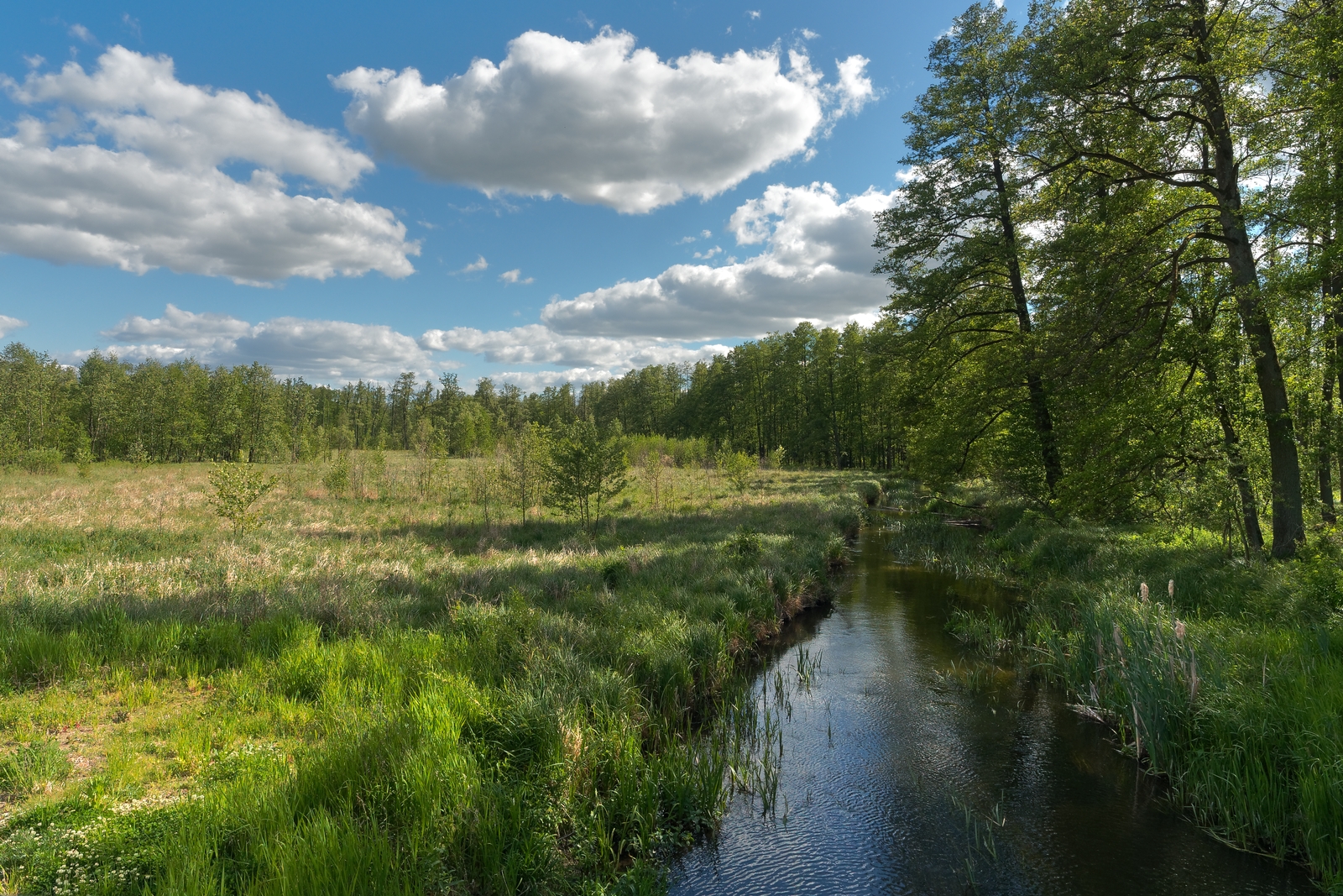Nazwa:  jkr1.jpg
Wyświetleń: 184
Rozmiar:  1,73 MB