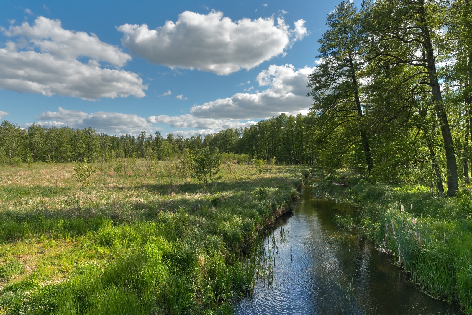 Nazwa:  jkr2.jpg
Wyświetleń: 214
Rozmiar:  1,78 MB