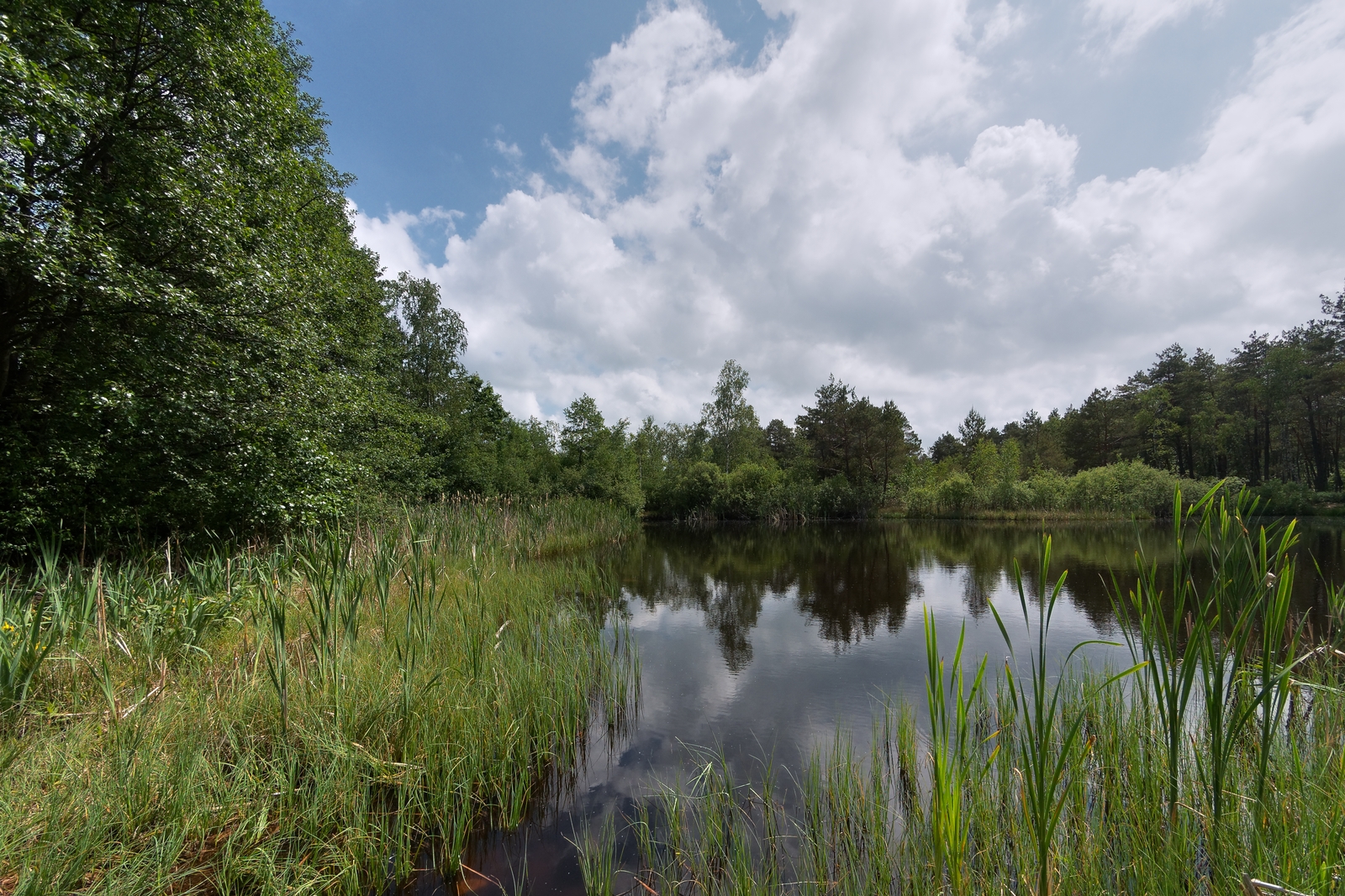 Nazwa:  1.jpg
Wyświetleń: 90
Rozmiar:  1,58 MB