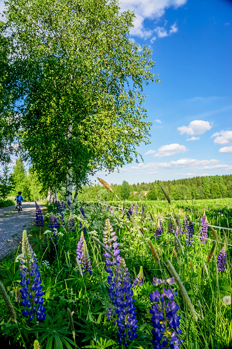 Nazwa:  DSC01247-1.jpg
Wyświetleń: 143
Rozmiar:  1,43 MB