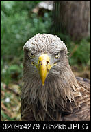 Kliknij obrazek, aby uzyskać większą wersję

Nazwa:	P6160609.jpg
Wyświetleń:	46
Rozmiar:	7,67 MB
ID:	223626