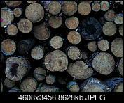 Kliknij obrazek, aby uzyskać większą wersję

Nazwa:	P6270245.jpg
Wyświetleń:	154
Rozmiar:	8,43 MB
ID:	224246