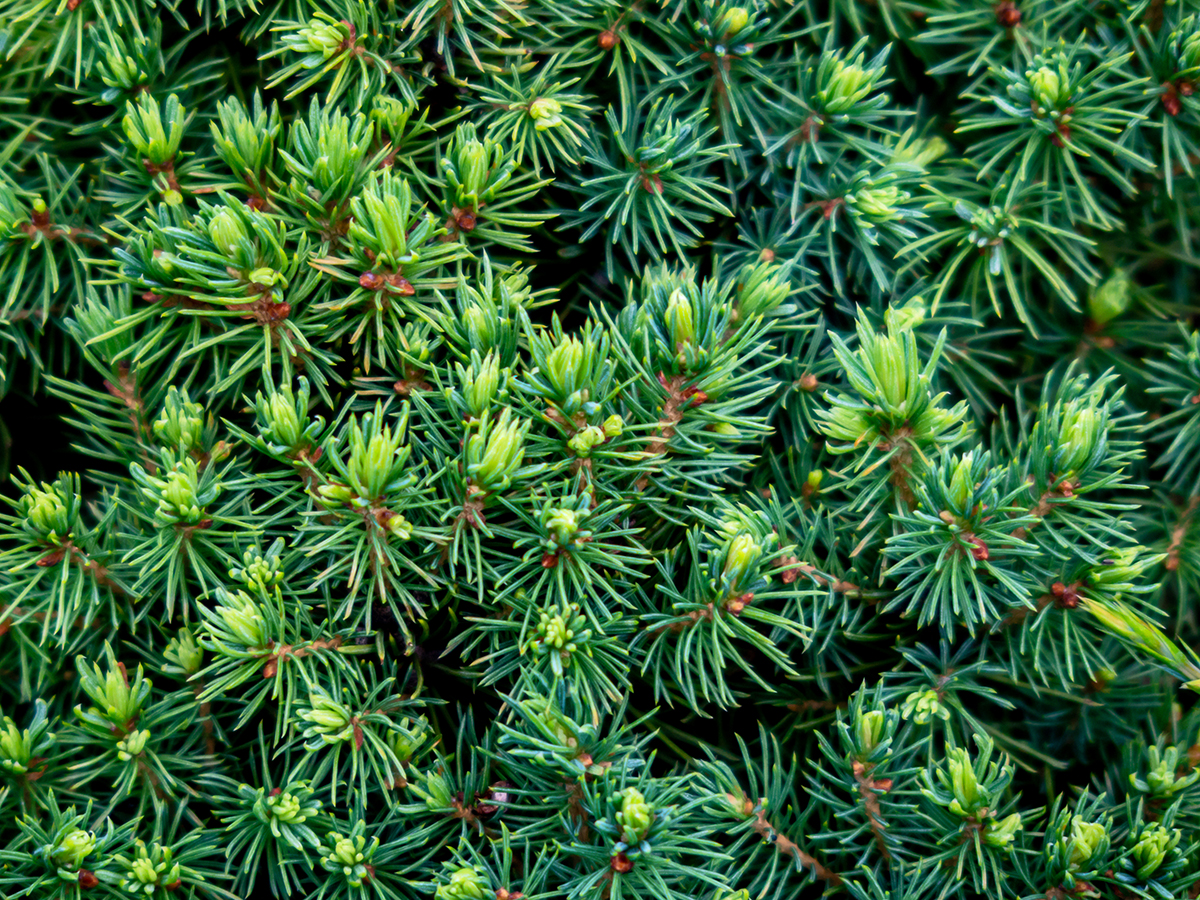 Nazwa:  P7120087-1.jpg
Wyświetleń: 89
Rozmiar:  1,56 MB