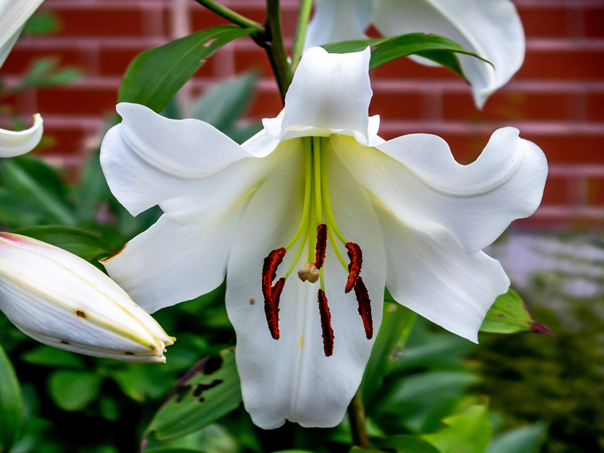 Nazwa:  P7120093-1.jpg
Wyświetleń: 90
Rozmiar:  782,6 KB