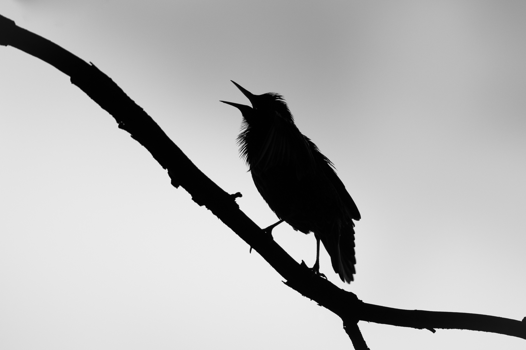 Nazwa:  P1063241.JPG
Wyświetleń: 284
Rozmiar:  808,3 KB