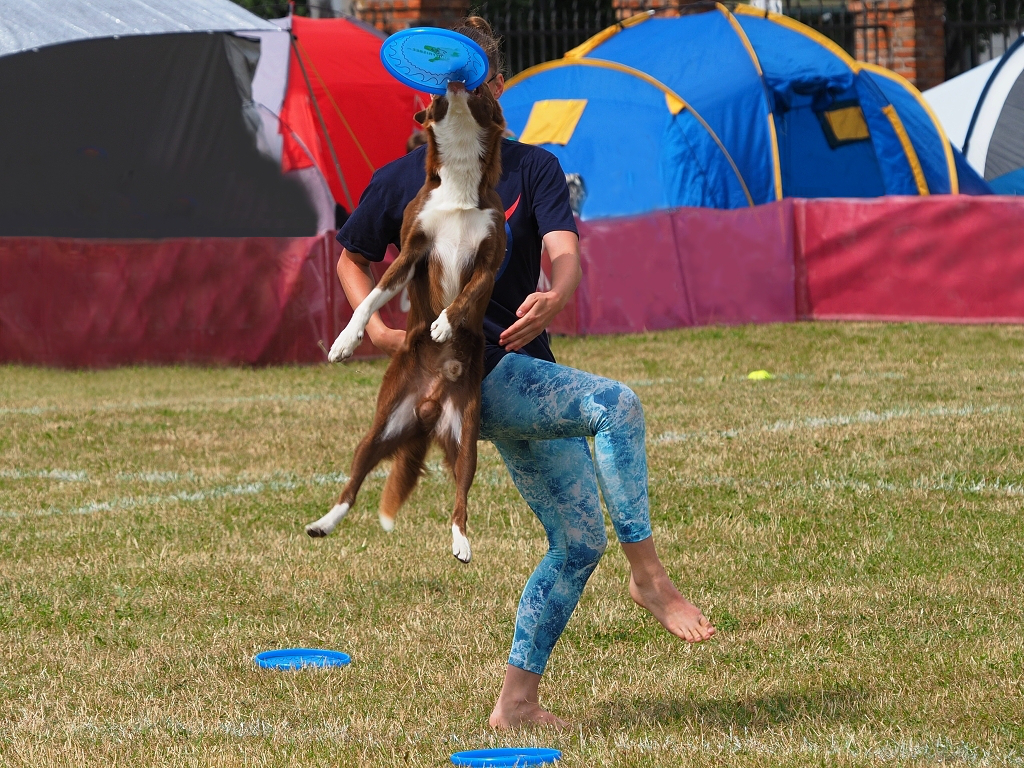 Nazwa:  P8027197d.jpg
Wyświetleń: 351
Rozmiar:  925,7 KB