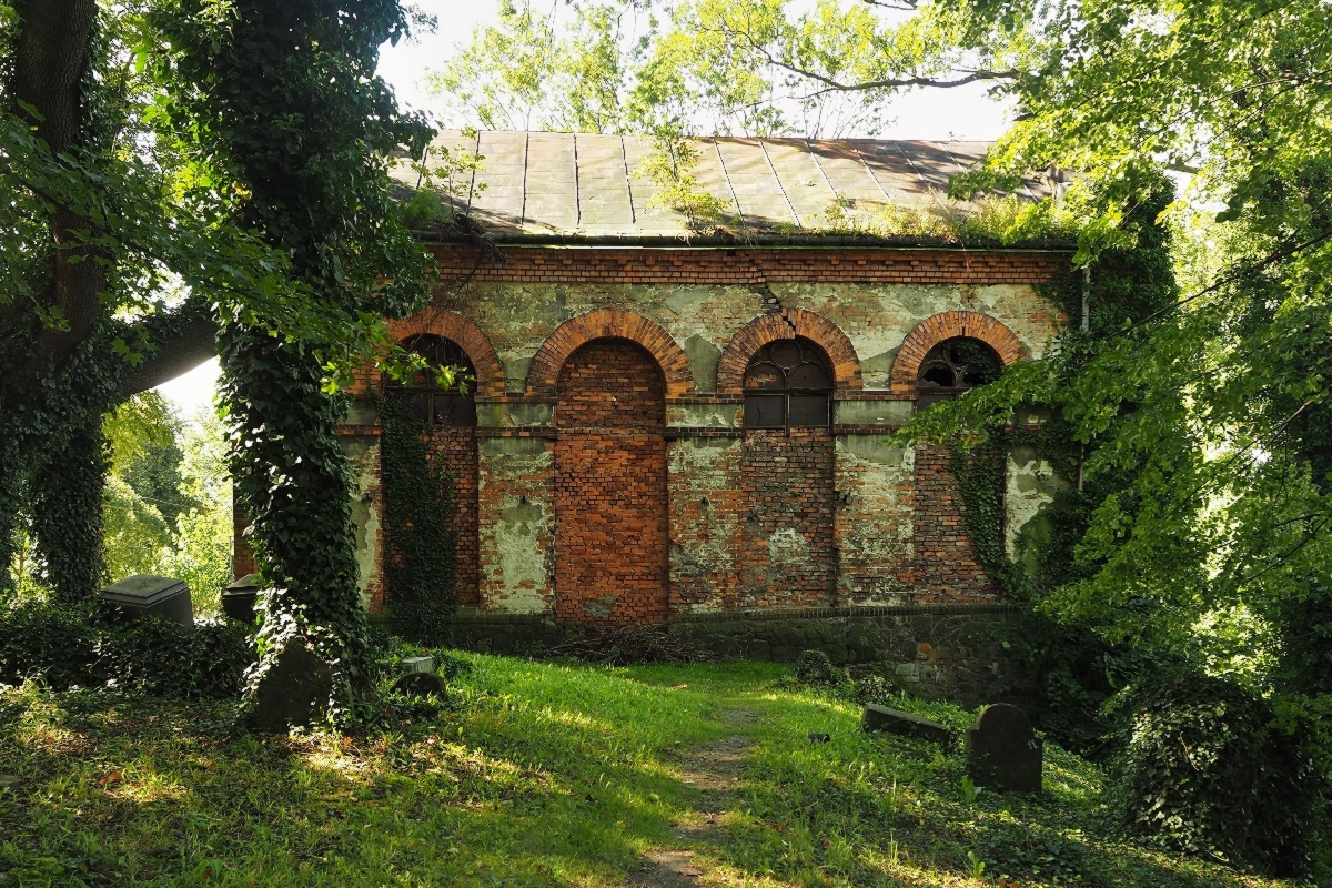 Nazwa:  P8310174.jpg
Wyświetleń: 238
Rozmiar:  994,7 KB