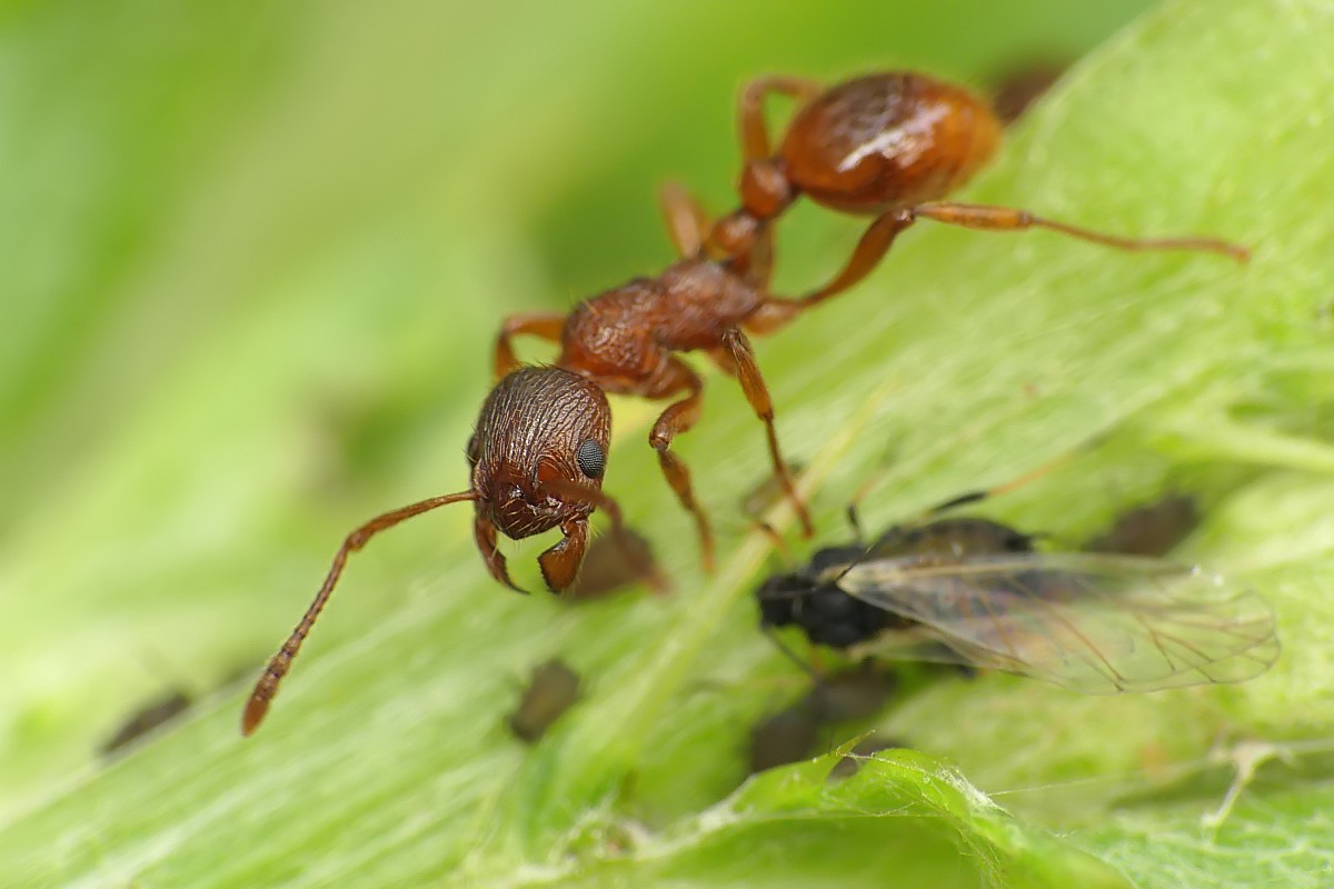 Nazwa:  49883809533_3590371c3c_o.jpg
Wyświetleń: 286
Rozmiar:  118,8 KB