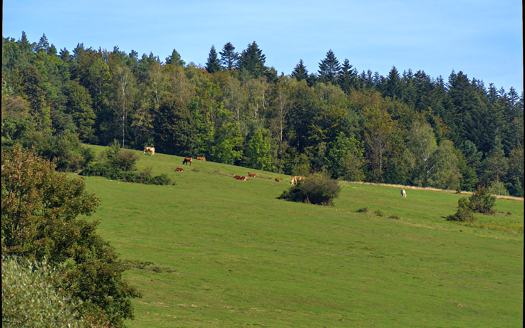 Nazwa:  P9191779.jpg
Wyświetleń: 114
Rozmiar:  1,21 MB