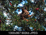 Kliknij obrazek, aby uzyskać większą wersję

Nazwa:	1300-867-max.jpg
Wyświetleń:	76
Rozmiar:	602,4 KB
ID:	225916