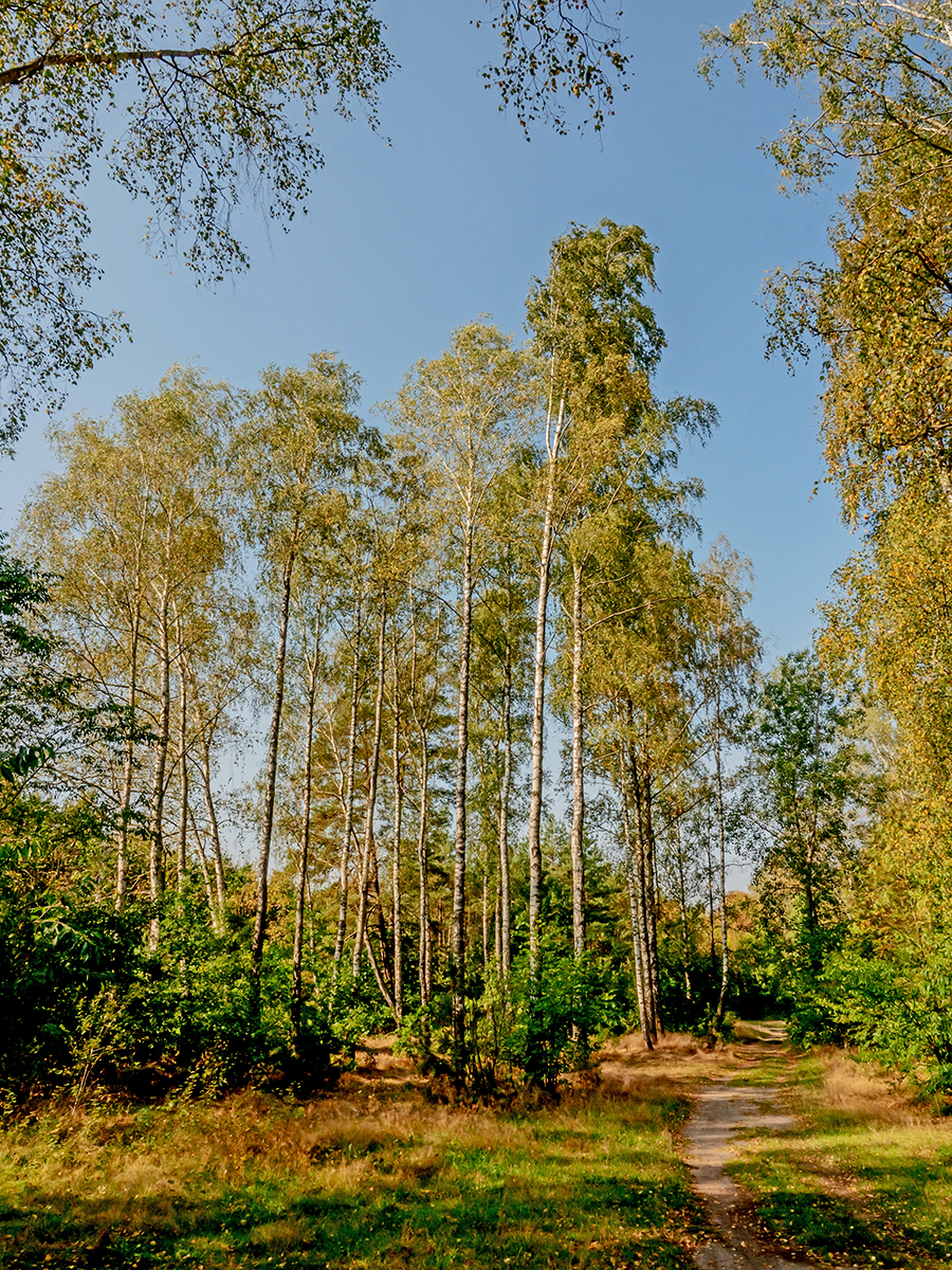 Nazwa:  P9250088-1.jpg
Wyświetleń: 122
Rozmiar:  1,69 MB