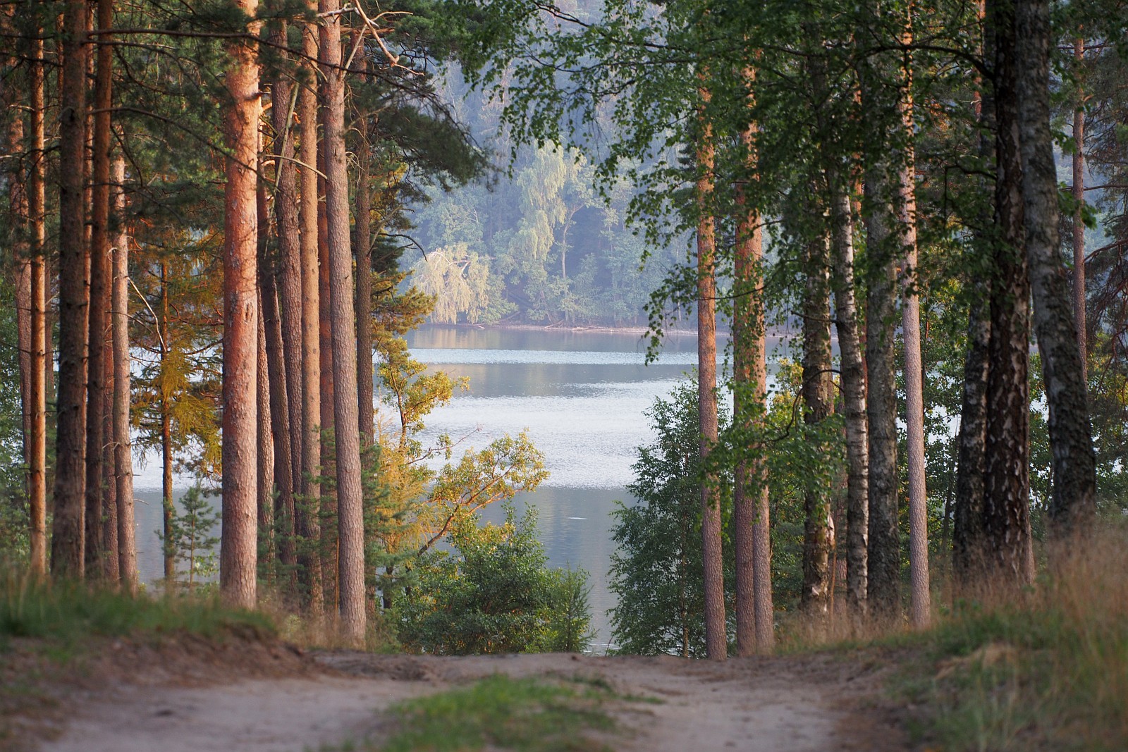 Nazwa:  Dybrzk42262o.jpg
Wyświetleń: 128
Rozmiar:  605,3 KB