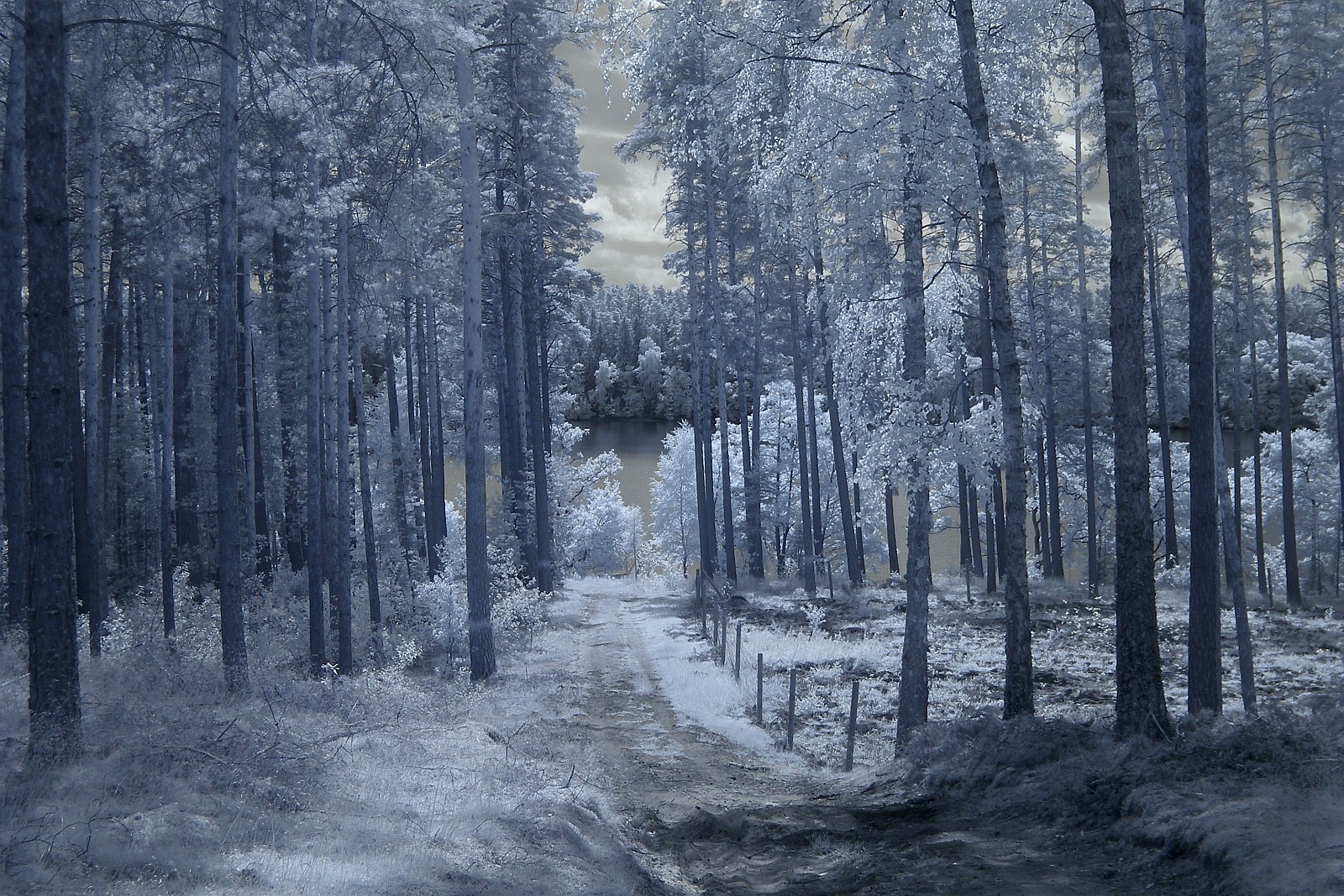 Nazwa:  P8090181.jpg
Wyświetleń: 134
Rozmiar:  726,3 KB