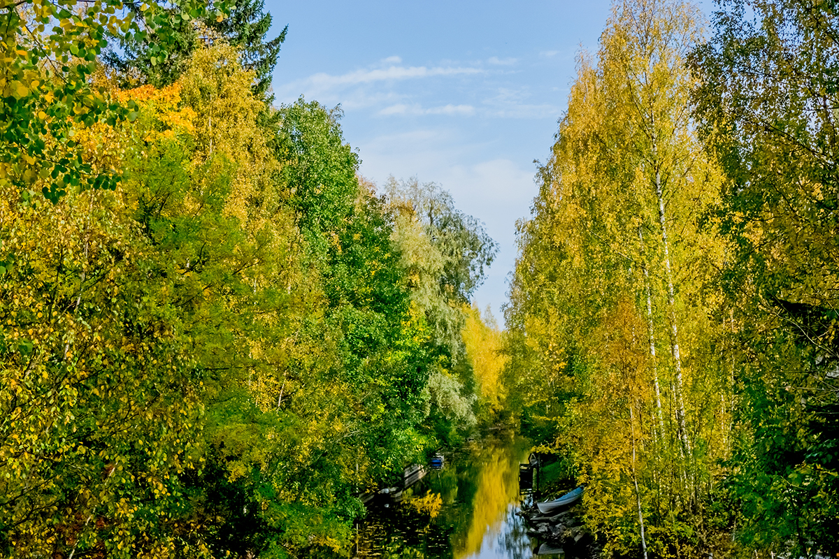 Nazwa:  DSC02569-1.jpg
Wyświetleń: 108
Rozmiar:  1,60 MB