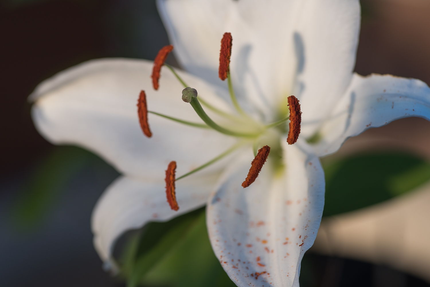 Nazwa:  Of-427.jpg
Wyświetleń: 148
Rozmiar:  485,2 KB