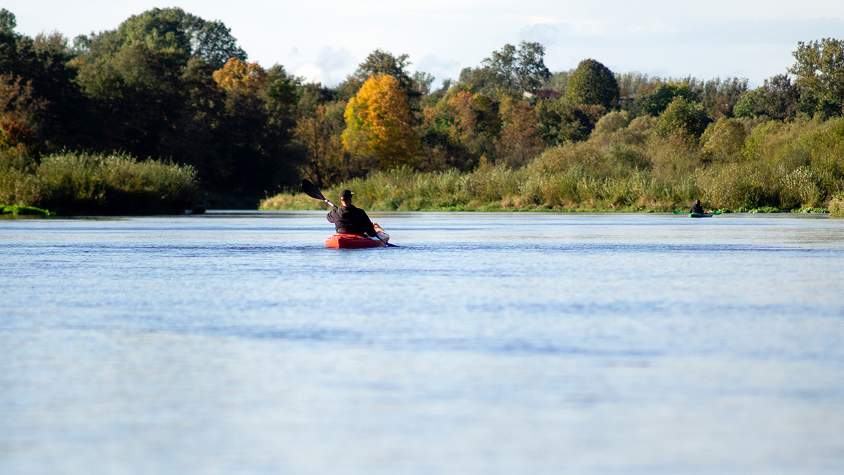 Nazwa:  PA043691.jpg
Wyświetleń: 123
Rozmiar:  274,1 KB