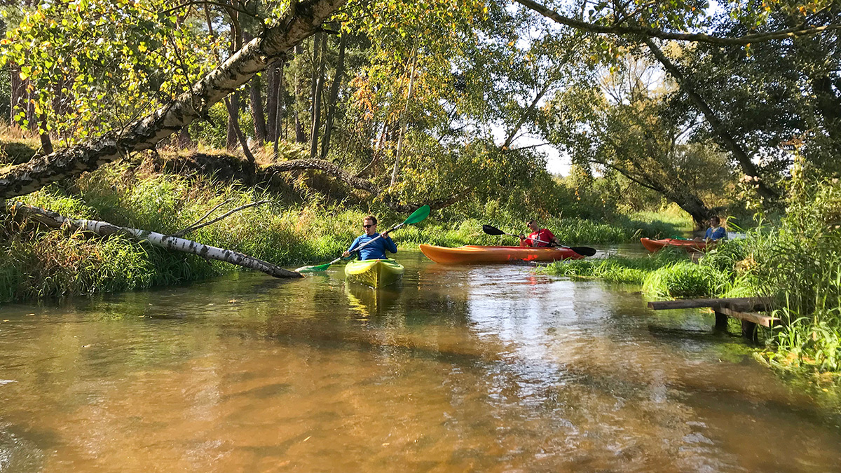 Nazwa:  IMG_5294.jpg
Wyświetleń: 127
Rozmiar:  560,4 KB