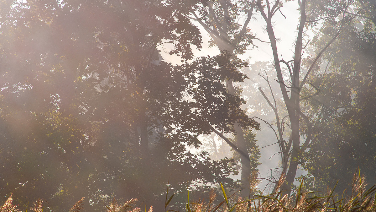 Nazwa:  PA043763.jpg
Wyświetleń: 130
Rozmiar:  383,2 KB