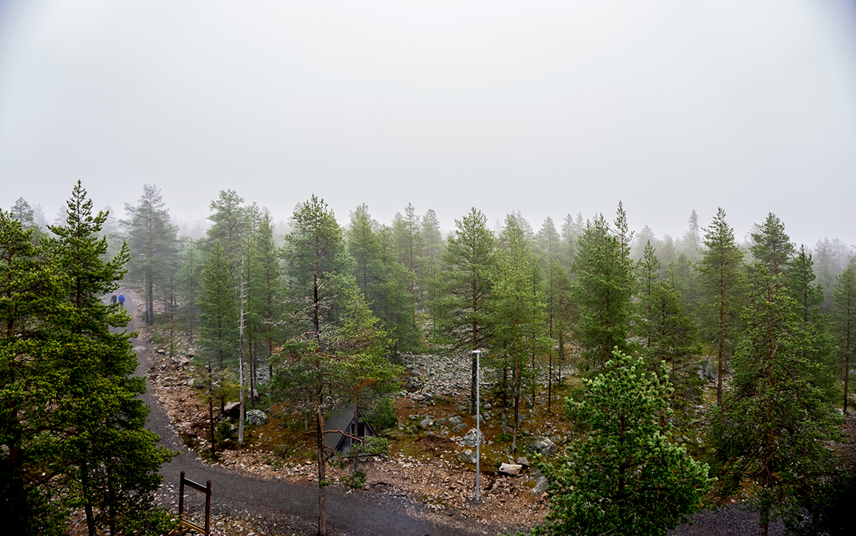 Nazwa:  DSC02843-1.jpg
Wyświetleń: 245
Rozmiar:  823,7 KB