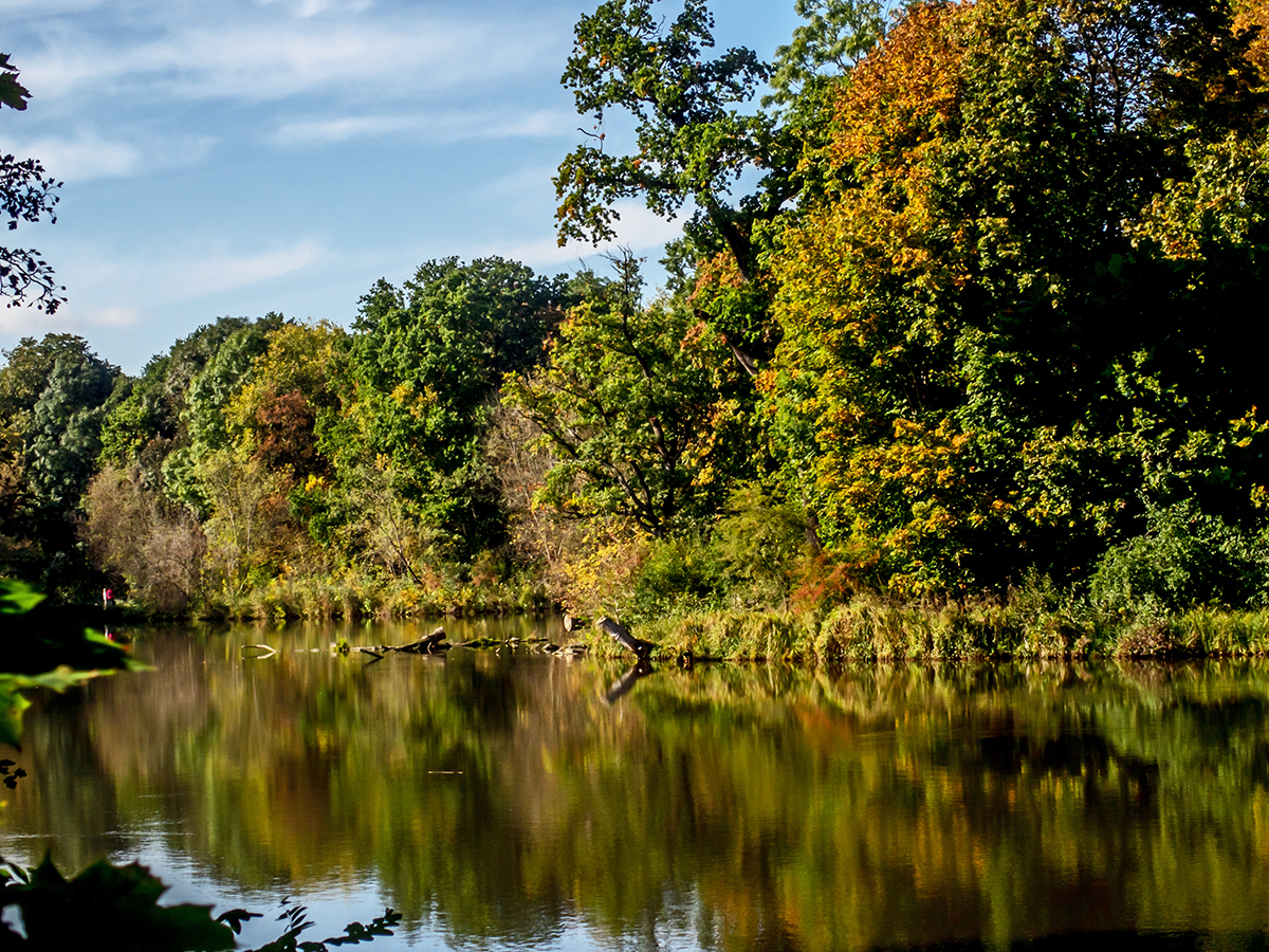 Nazwa:  PA110013-1.jpg
Wyświetleń: 308
Rozmiar:  1,38 MB